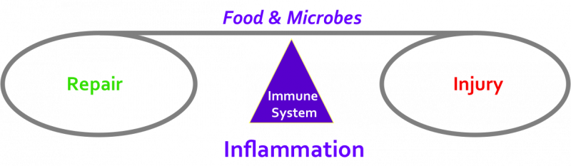 Kahana.Inflammation Balance